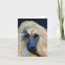 Witte Afghaanse windhond  Kaart