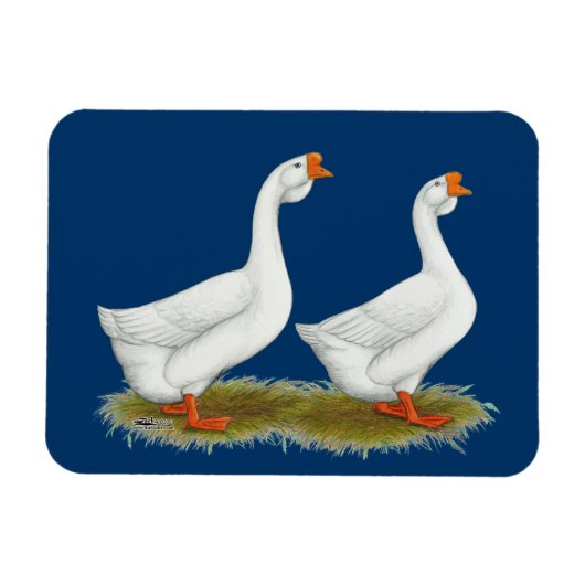 Witte Afrikaanse ganzen Magneet (Horizontaal)