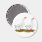 Witte Afrikaanse ganzen Magneet (Voorkant / Achterkant)