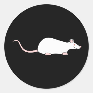 Witte Albino huisdier rat. Ronde Sticker