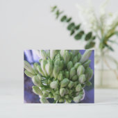 Witte Allium Buds Briefkaart (Staand voorkant)