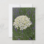 Witte Allium & Lavendel Bloemen Notitiekaartje (Voorkant)
