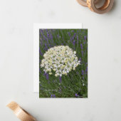 Witte Allium & Lavendel Bloemen Notitiekaartje (Voorkant / Achterkant in situ)