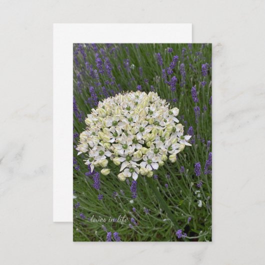 Witte Allium & Lavendel Bloemen Notitiekaartje (Voorkant / Achterkant)