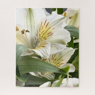 Witte Alstroemeria Bloemen Close-Up Foto Legpuzzel