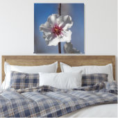 Witte amandelbloem Botanische fotografie Canvas Afdruk (Insitu (Slaapkamer))