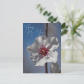 Witte amandelbloesem bloem botanische fotografie briefkaart (Staand voorkant)