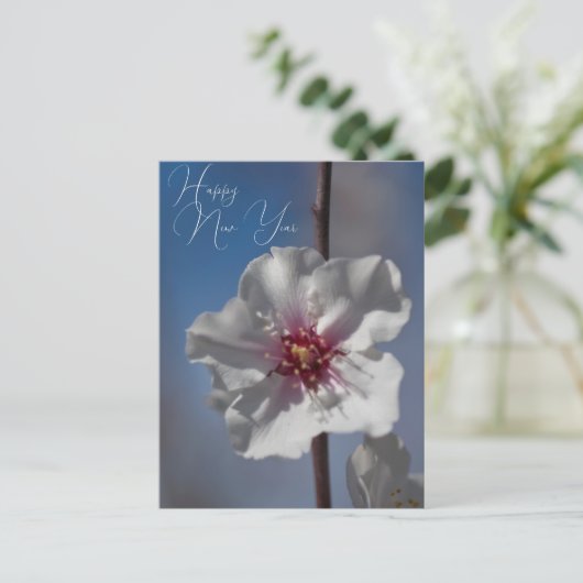Witte amandelbloesem bloem botanische fotografie briefkaart (Staand voorkant)