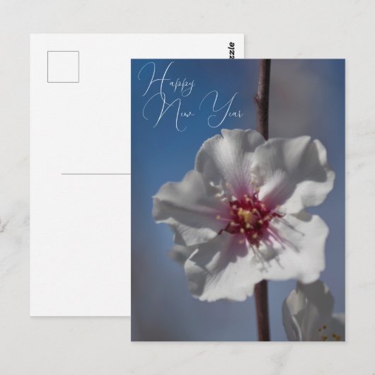 Witte amandelbloesem bloem botanische fotografie briefkaart (Voorkant / Achterkant)