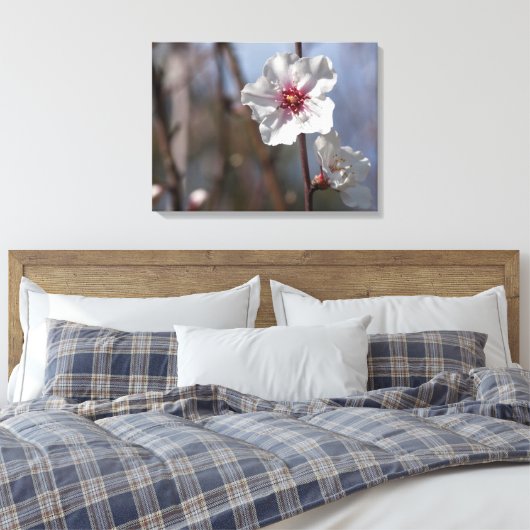 Witte Amandelbloesem - Natuurlijk Lente Licht Eleg Canvas Afdruk (Insitu (Slaapkamer))