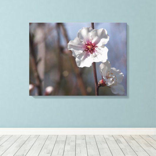 Witte Amandelbloesem - Natuurlijk Lente Licht Eleg Canvas Afdruk (Insitu (Houten vloer))