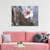 Witte Amandelbloesem - Natuurlijk Lente Licht Eleg Canvas Afdruk (Insitu (Woonkamer))