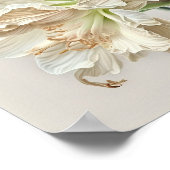 Witte Amaryllis Bloem Kunstprint Poster (Hoek)