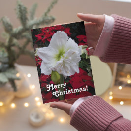Witte Amaryllis Bloom Floral Christmas Kaart