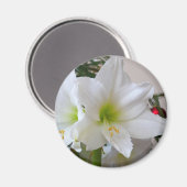 Witte amaryllis en kerstboom magneet (Voorkant / Achterkant)