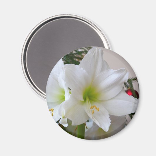 Witte amaryllis en kerstboom magneet (Voorkant / Achterkant)
