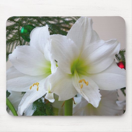 Witte amaryllis en kerstboom muismat (Voorkant)