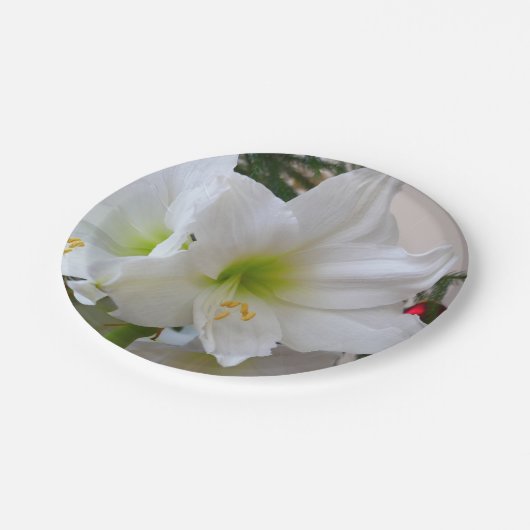 Witte amaryllis en kerstboom papieren bordje (Gekanteld)