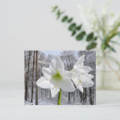Witte amaryllis en sneeuw I Briefkaart (Staand voorkant)