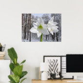 Witte Amaryllis en Sneeuw I Poster (Thuiskantoor)
