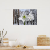 Witte amaryllis en sneeuw I Poster (Keuken)