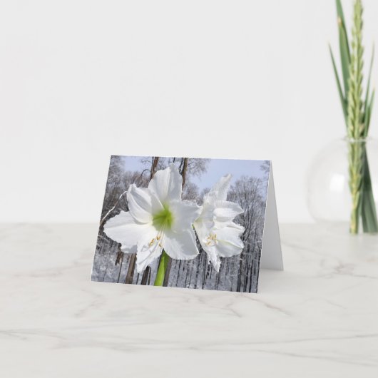Witte Amaryllis en Sneeuw II Feestdagen Kaart (Voorkant)