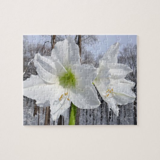 Witte Amaryllis en Sneeuw II Legpuzzel (Horizontaal)