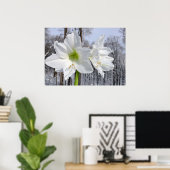 Witte Amaryllis en Sneeuw II Poster (Thuiskantoor)