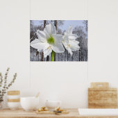 Witte Amaryllis en Sneeuw II Poster (Keuken)
