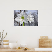 Witte Amaryllis en Sneeuw II Poster (Keuken)