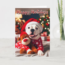 Witte Amerikaanse Bulldog helemaal klaar voor kers