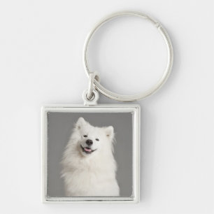 Witte Amerikaanse Eskimo Puppy Hond Sleutelhanger