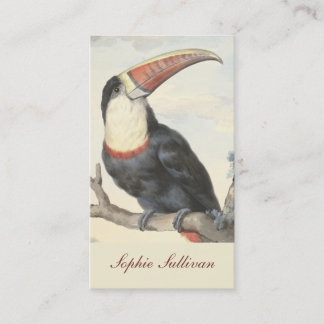 Witte Amerikaanse Toucan  Waterverf Visitekaartje
