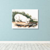 Witte Amerikaanse Wolf van John James Audubon Canvas Afdruk (Insitu (Houten vloer))
