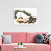 Witte Amerikaanse Wolf van John James Audubon Canvas Afdruk (Insitu (Woonkamer))