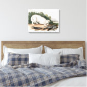 Witte Amerikaanse Wolf van John James Audubon Canvas Afdruk (Insitu (Slaapkamer))