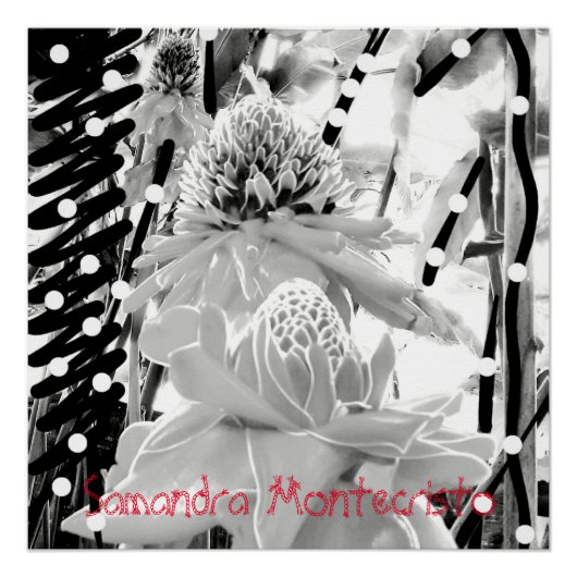 Witte ananas & aardbei Glanzend Poster (Voorkant)