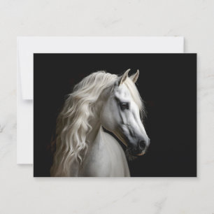 witte Andalusische hengst Briefkaart