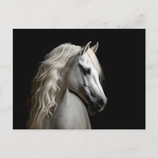 witte Andalusische hengst Briefkaart (Voorkant)