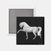 Witte Andalusische Paardenmagneet Magneet (Voorkant / Achterkant)