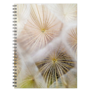 Witte andelium bloemen notitieboek