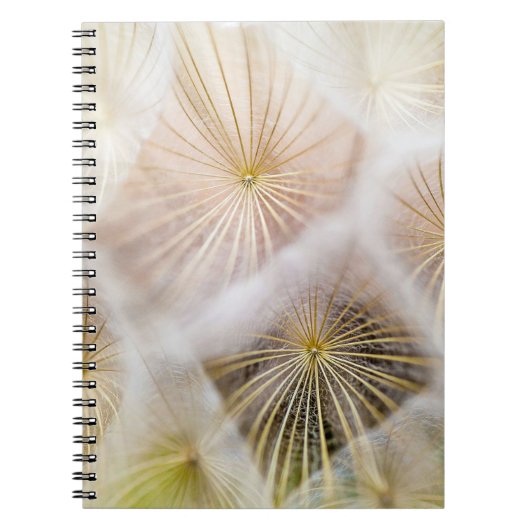 Witte andelium bloemen notitieboek (Voorkant)