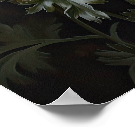 Witte Anemone Flowers Art Print Poster (Hoek)