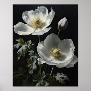 Witte Anemone Flowers Art Print Poster