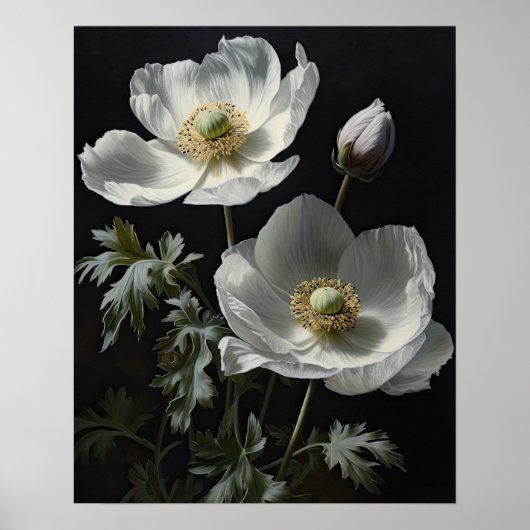 Witte Anemone Flowers Art Print Poster (Voorkant)