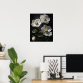 Witte Anemone Flowers Art Print Poster (Thuiskantoor)