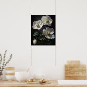 Witte Anemone Flowers Art Print Poster (Keuken)