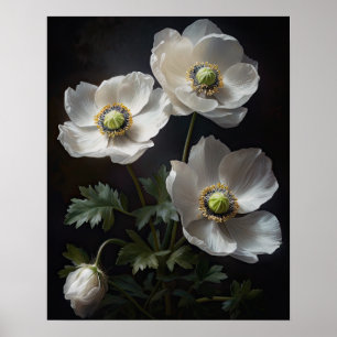 Witte Anemone Flowers Art Print Poster