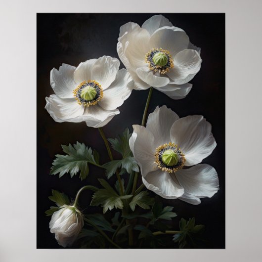 Witte Anemone Flowers Art Print Poster (Voorkant)