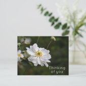 Witte Anemone Garden Flowers Denken aan je Briefkaart (Staand voorkant)